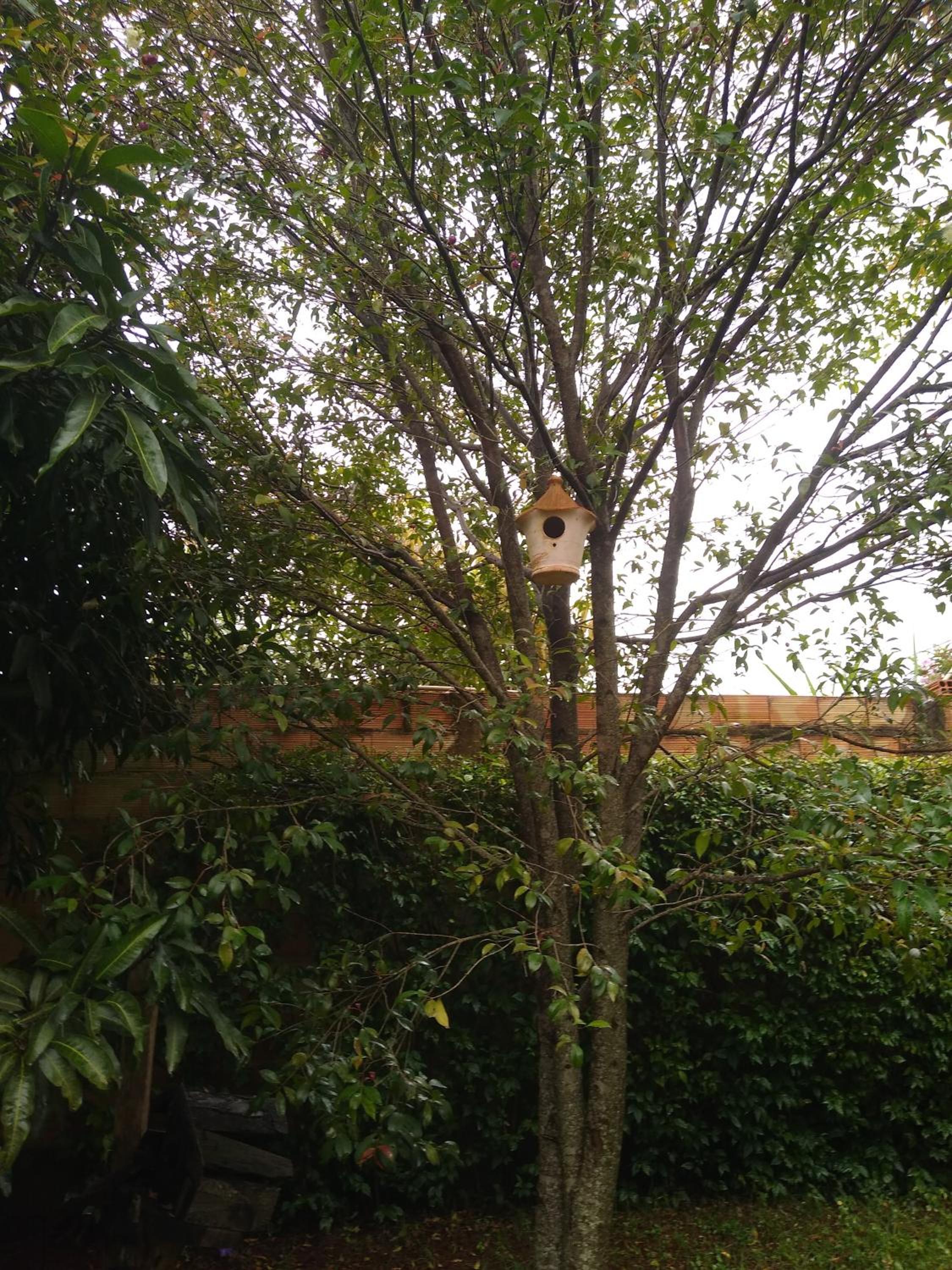 Sítio Descanso E Natureza Igarapé - 20km Inhotim