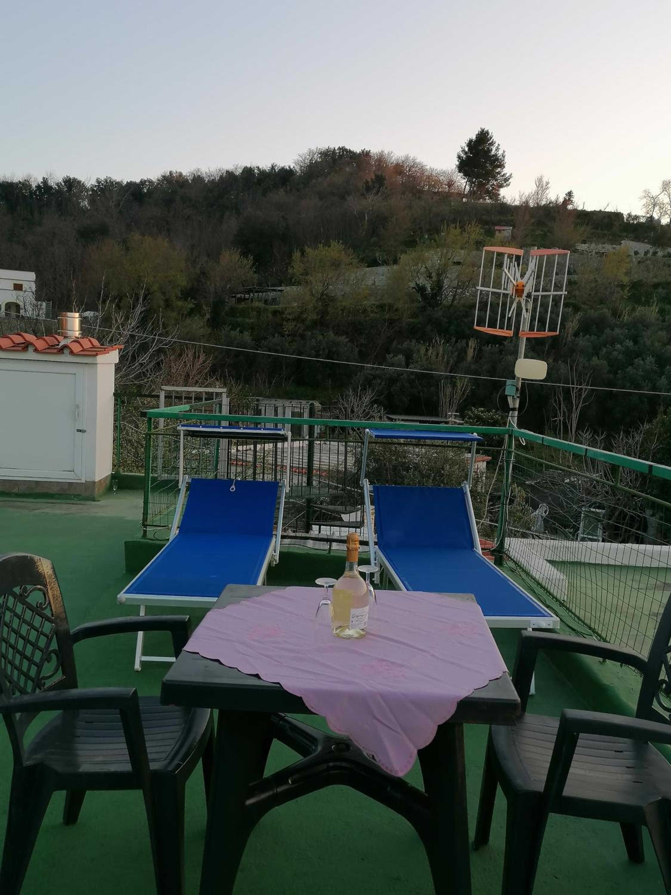 roof