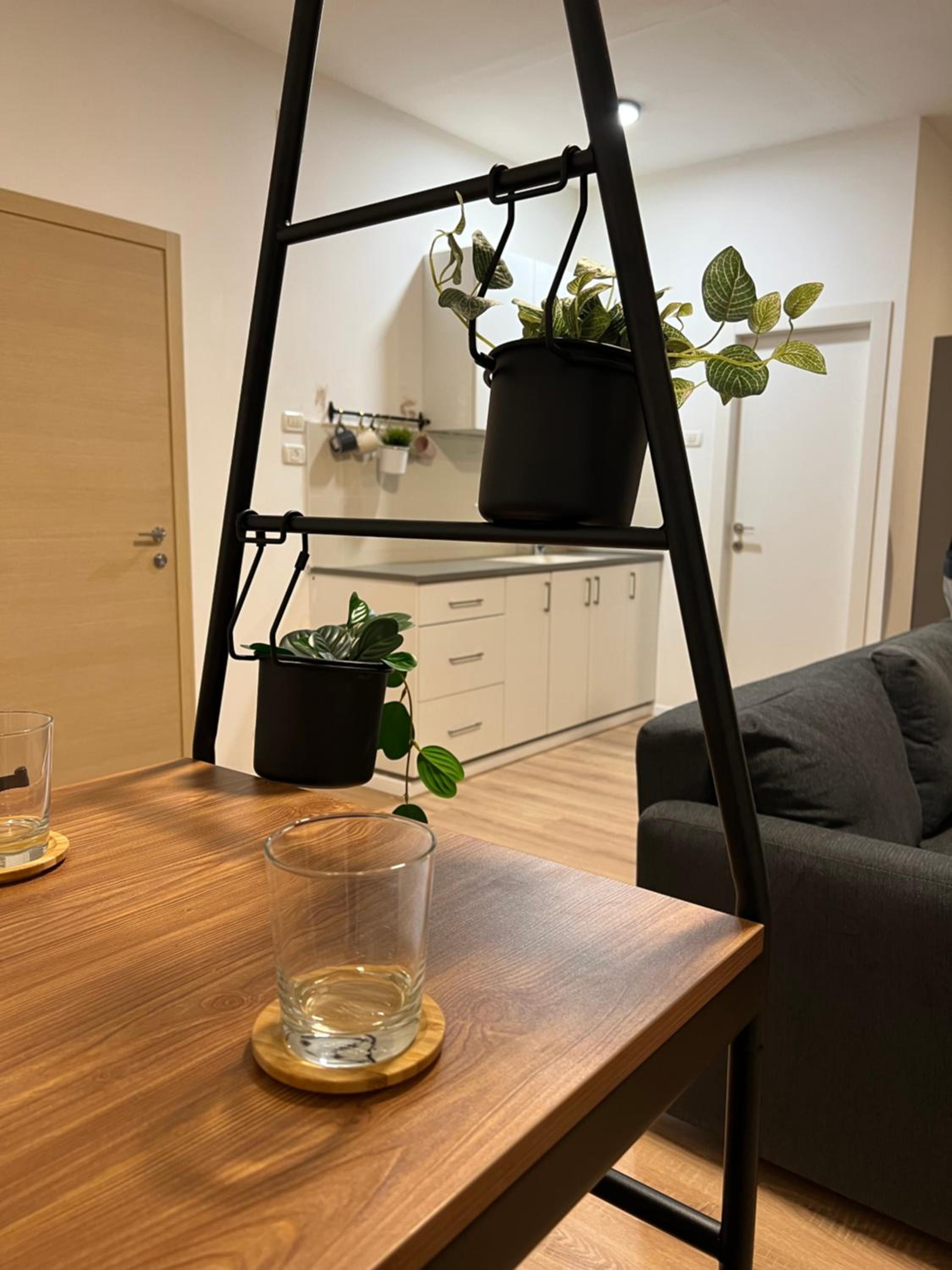 mamila apartment