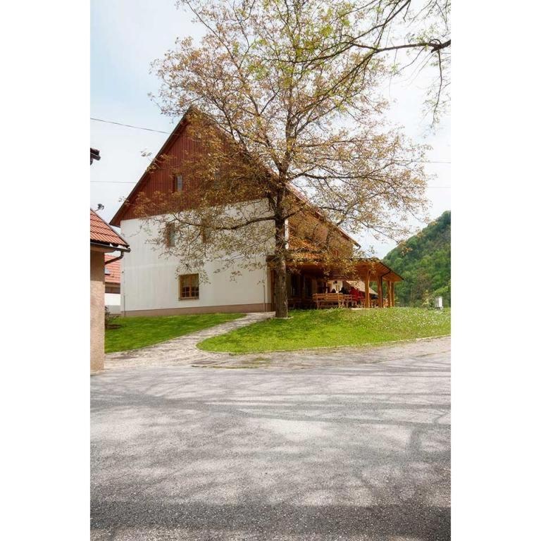 Photo 21