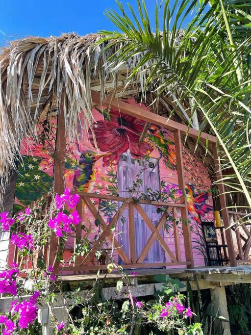 finca playa seca