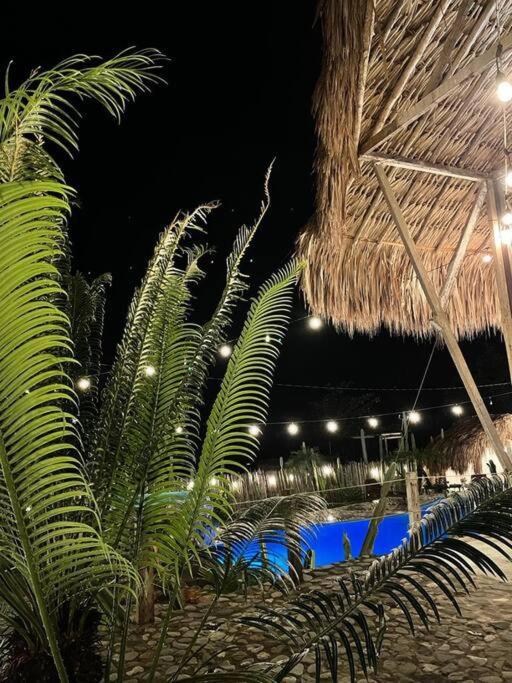 finca playa seca
