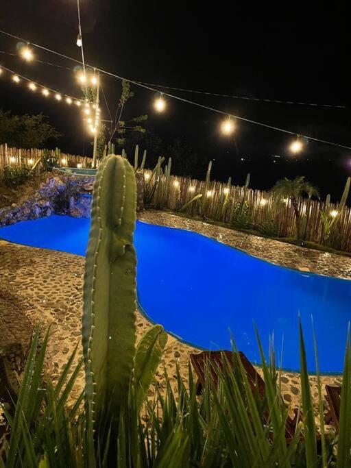 finca playa seca