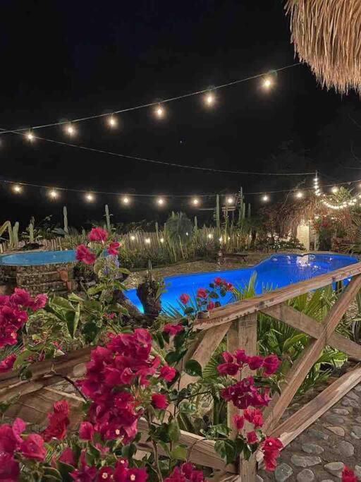 finca playa seca