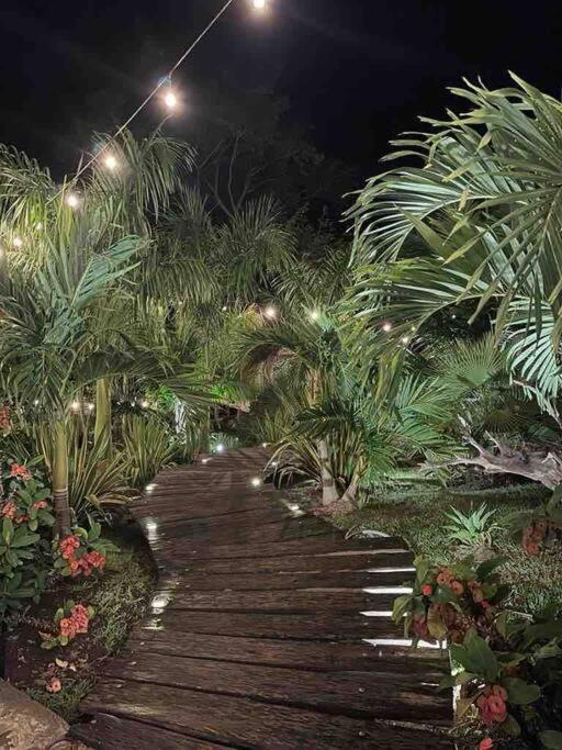 finca playa seca