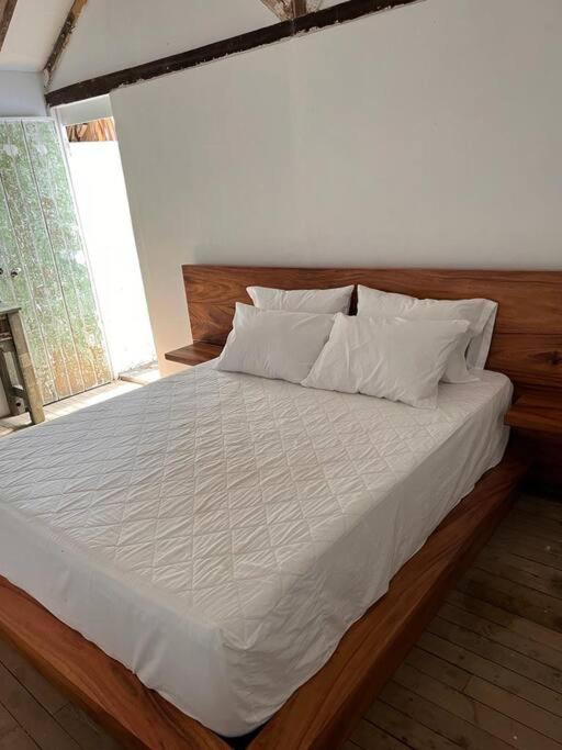 finca playa seca