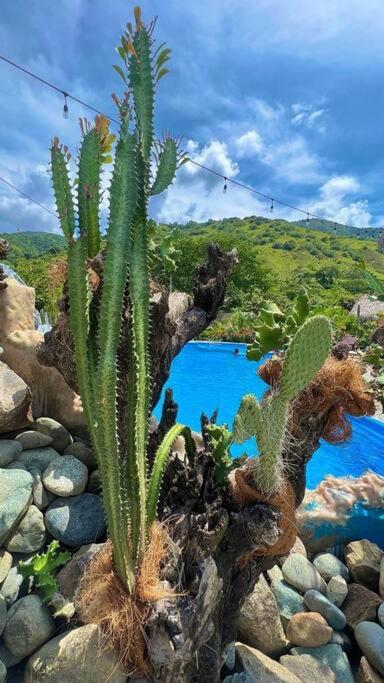finca playa seca