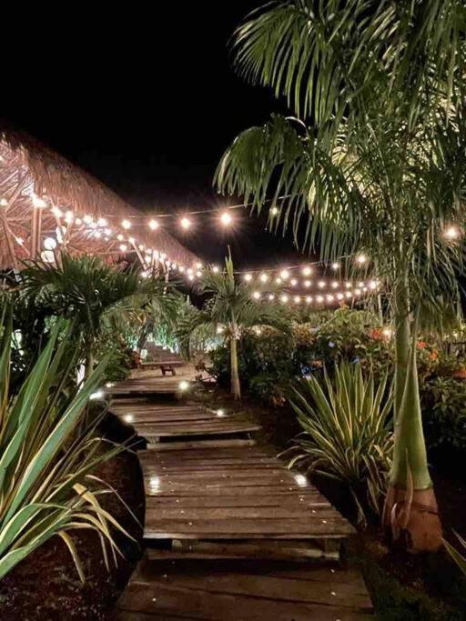 finca playa seca