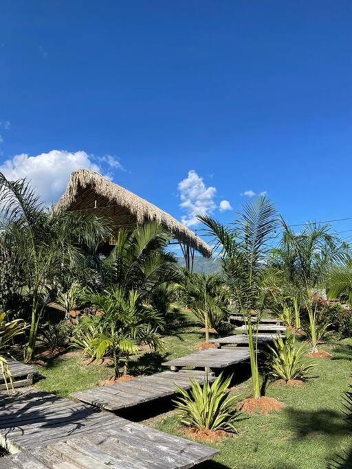 finca playa seca
