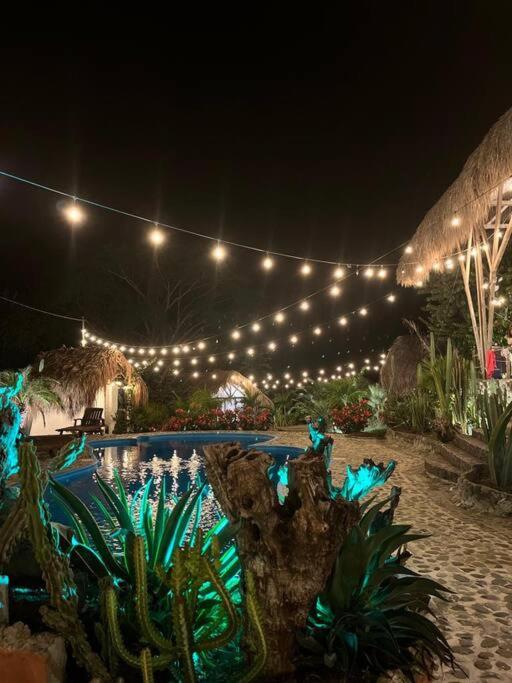 finca playa seca
