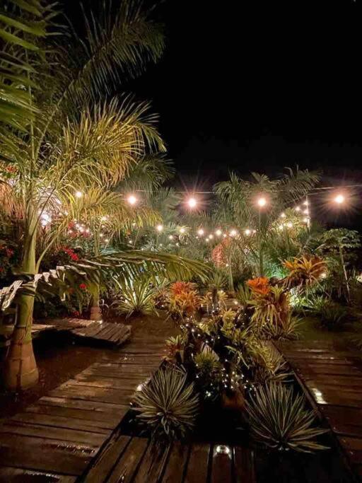 finca playa seca