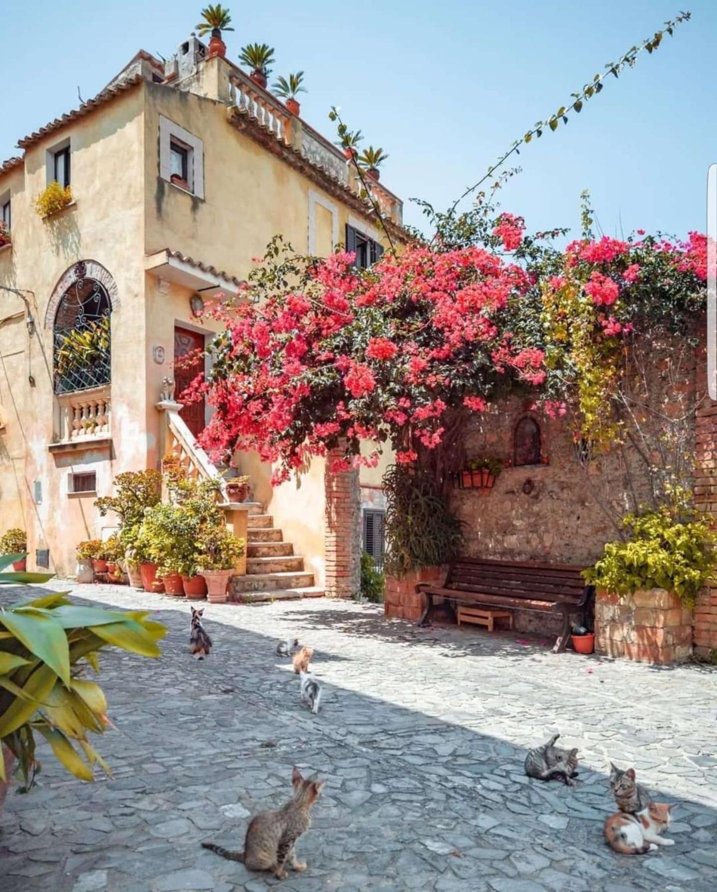 Al Castello Apartment