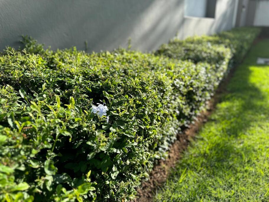 D&DLuxury Rivonia Apartments with inverter