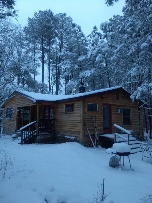 Rustic Quaint Cabin In the woods--Pets welcomed view 3