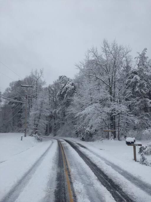Rustic Quaint Cabin In the woods--Pets welcomed view 4