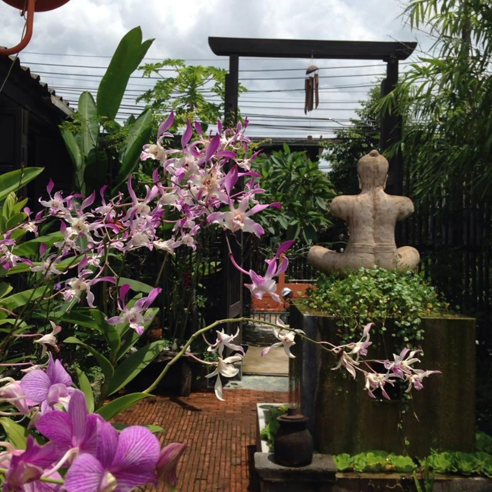 Artist's Place Trat