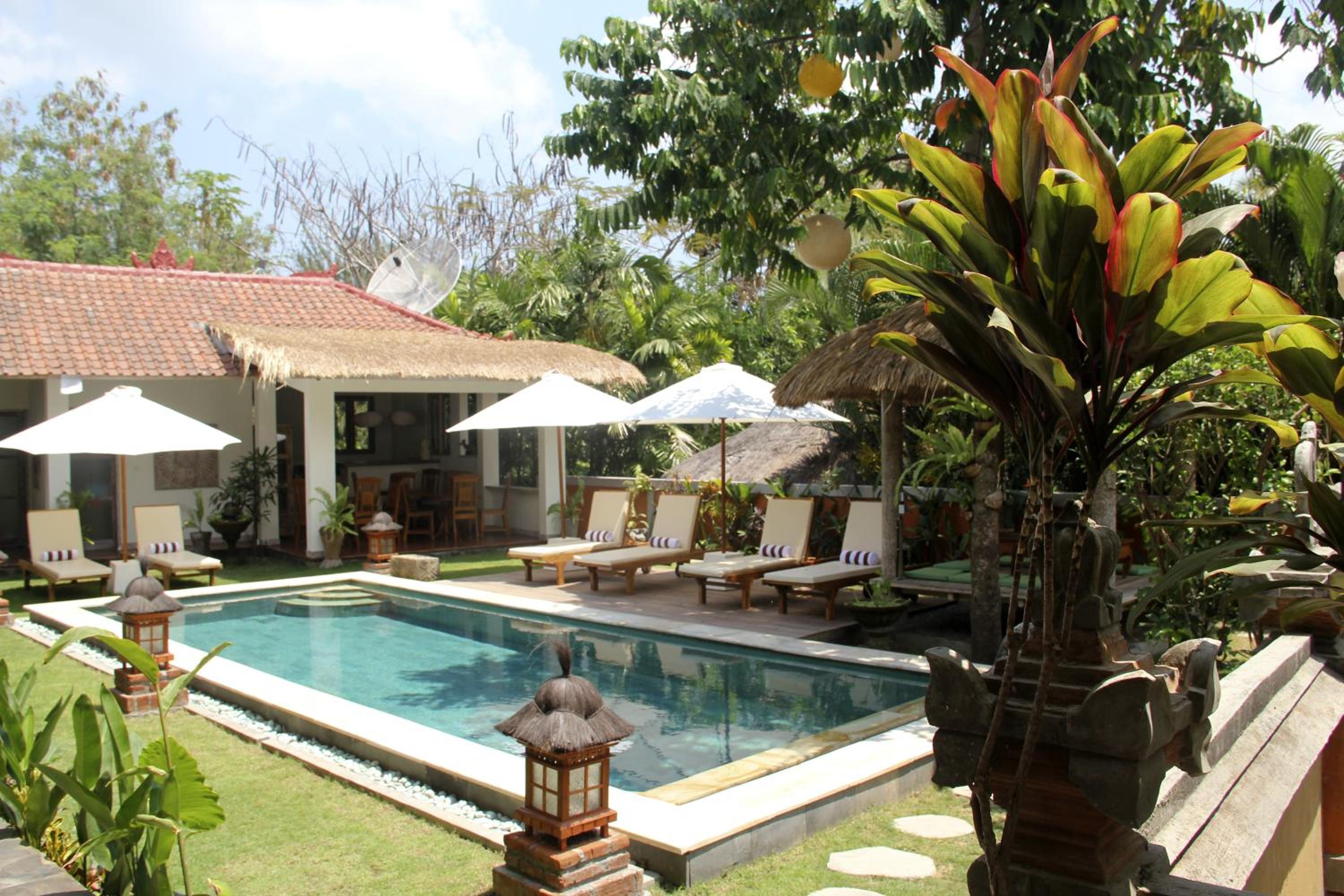 Papaya Guesthouse view 5
