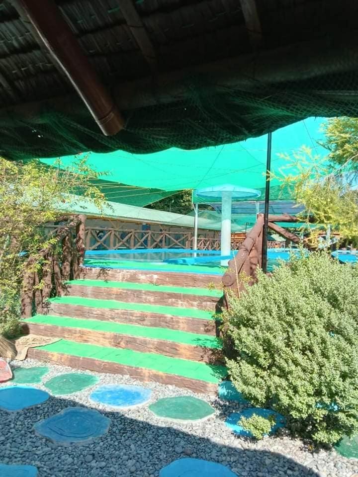 Photo 26