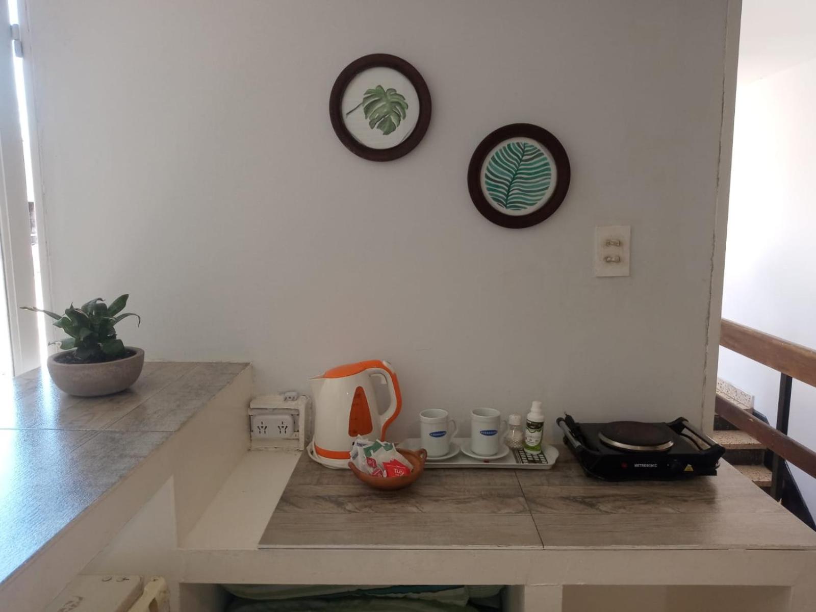 Departamento Colibrí - Image 4