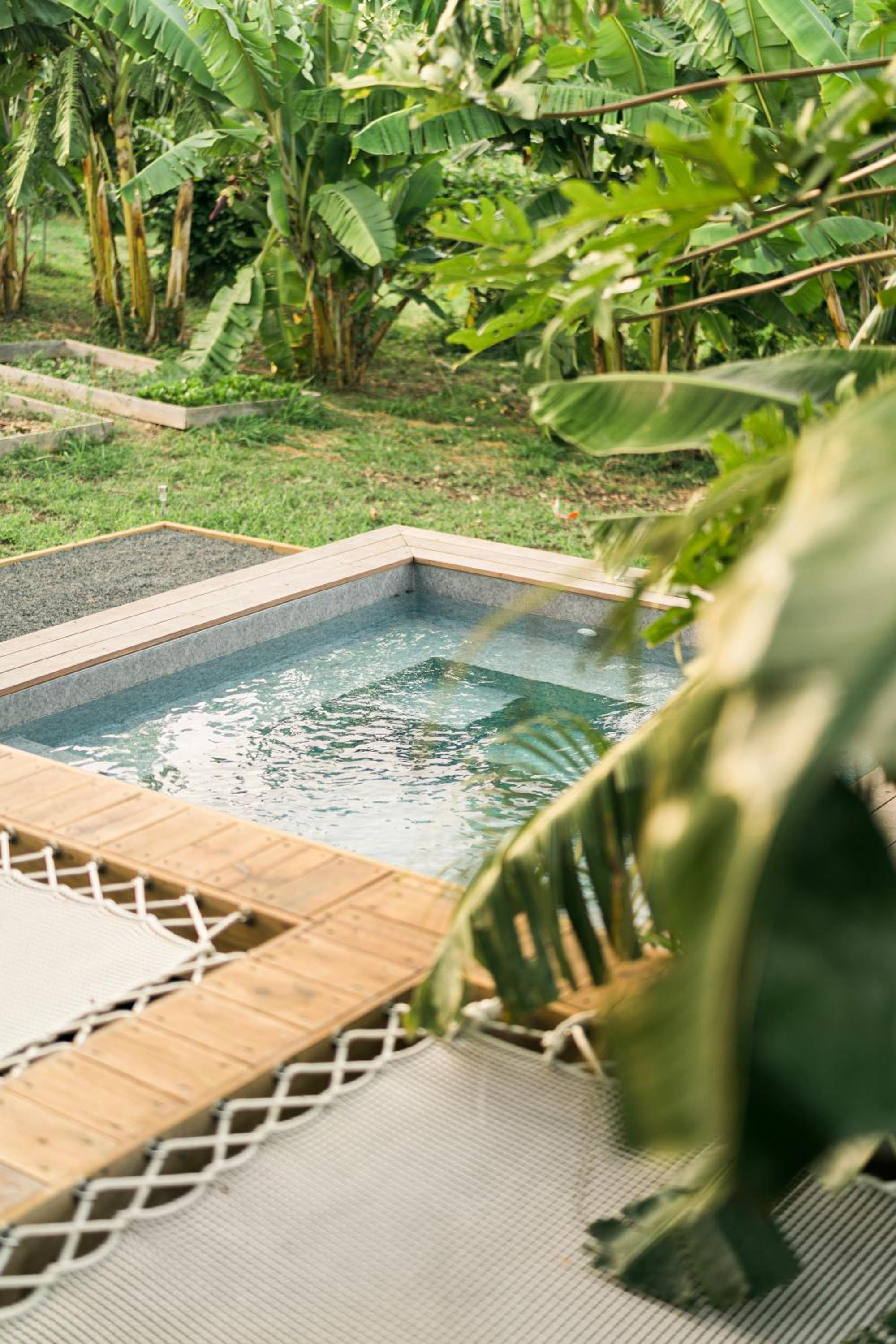 Ecolodge Anacardier - cabanon luxe pleine nature view 2