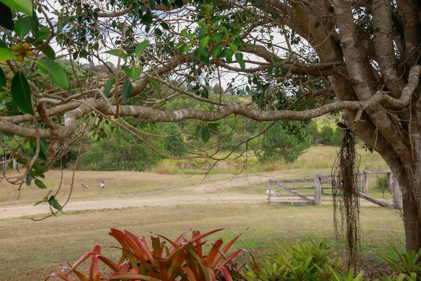 Unique Farm Escape in the Sunshine Coast Hinterland