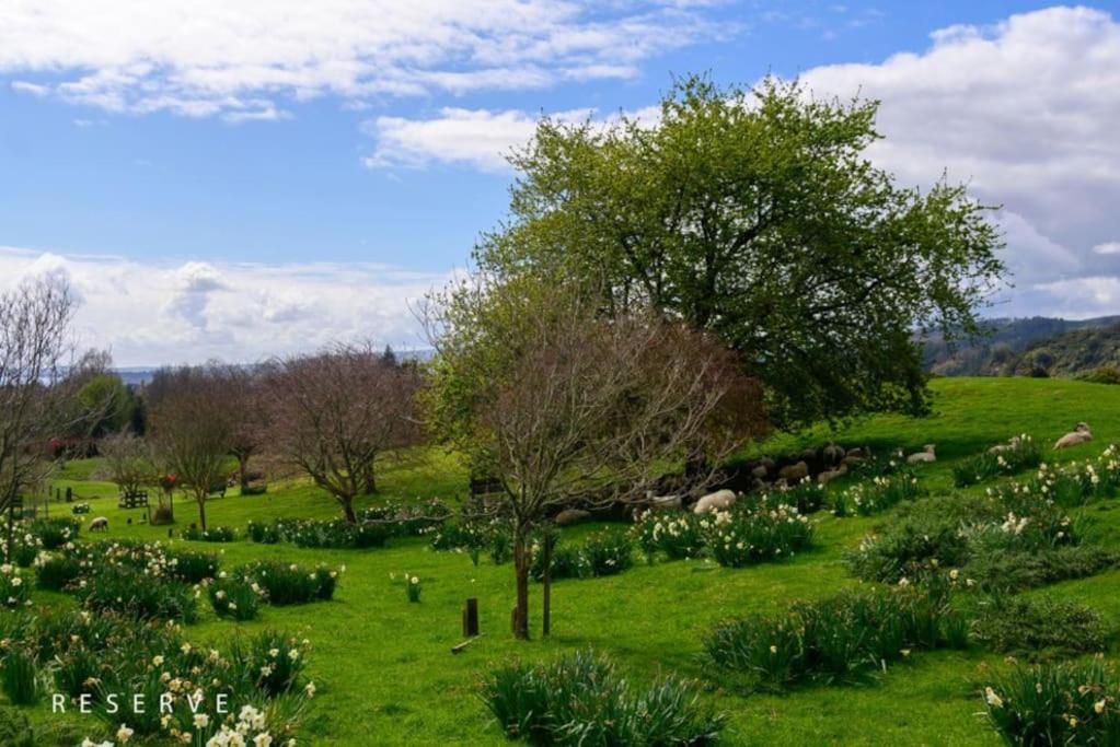 Aww Sheep-Uninterrupted Panoramic View with Spa view 3
