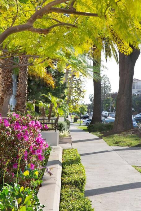 Brentwood Cozy Studio Suite By 1Furnished