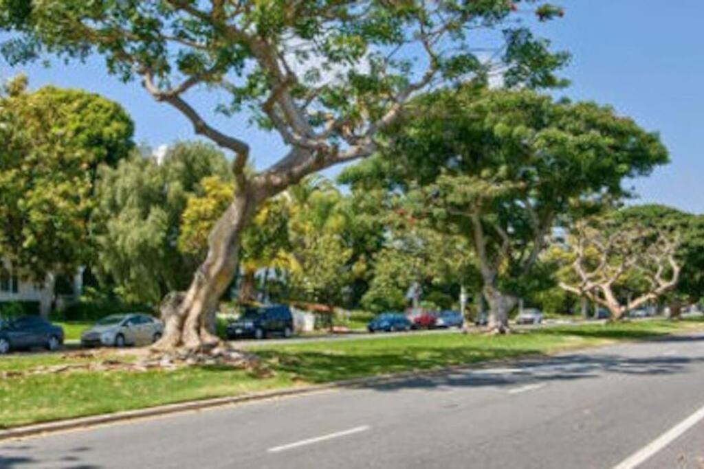 Brentwood Cozy Studio Suite By 1Furnished