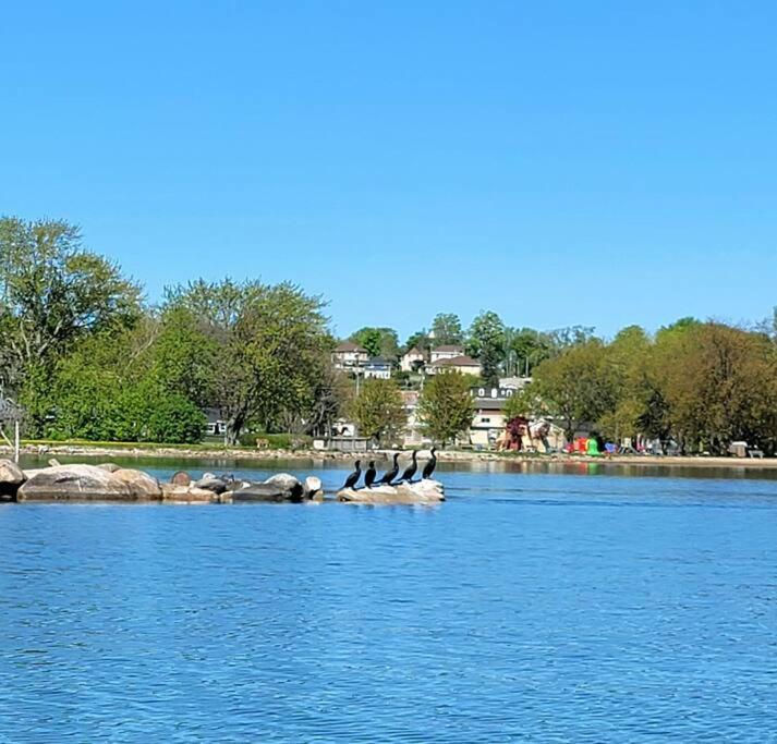 Romeo Resort -Waterfront-