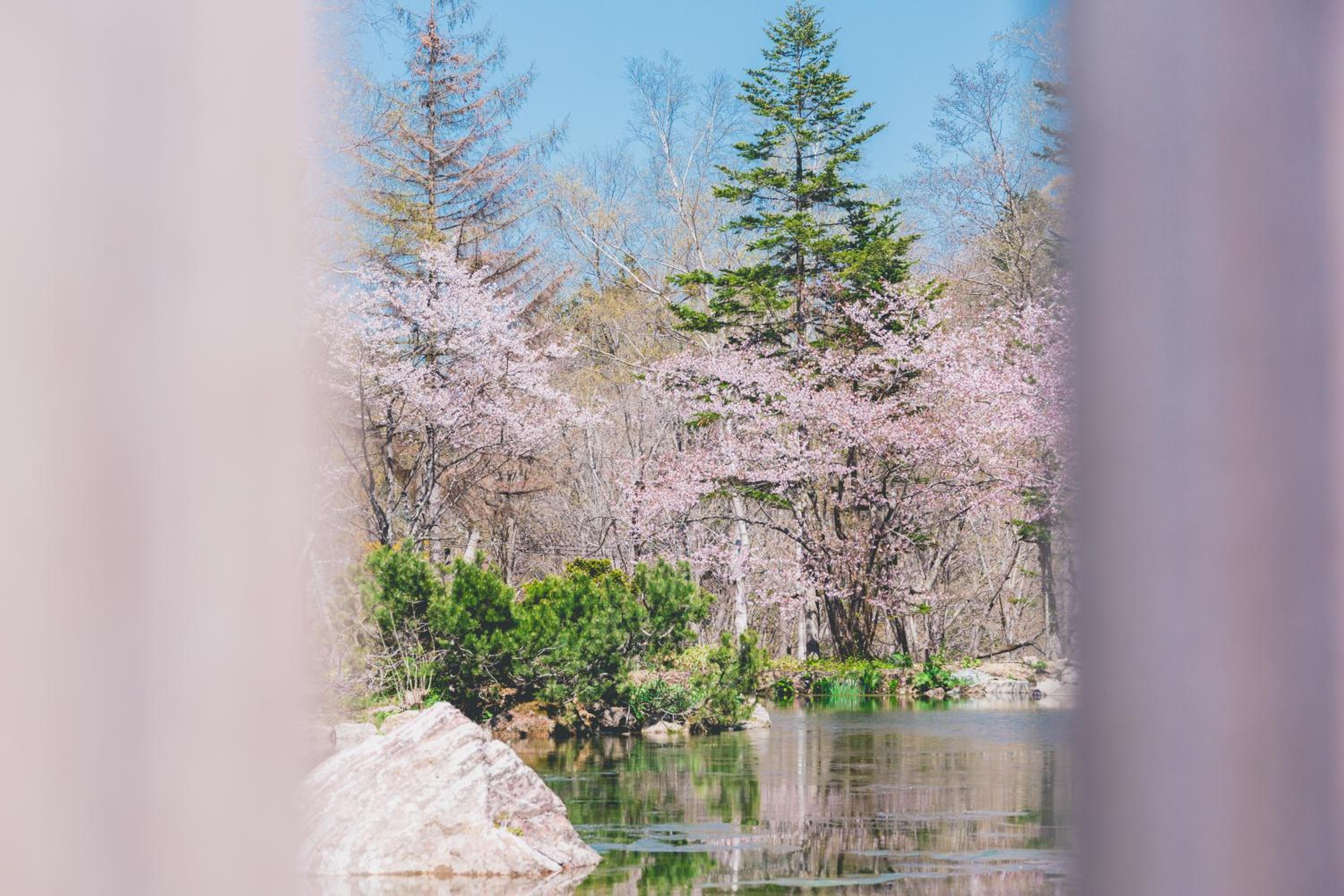 Okujozankei Onsen Kasho Gyoen, Φωτογραφία 10