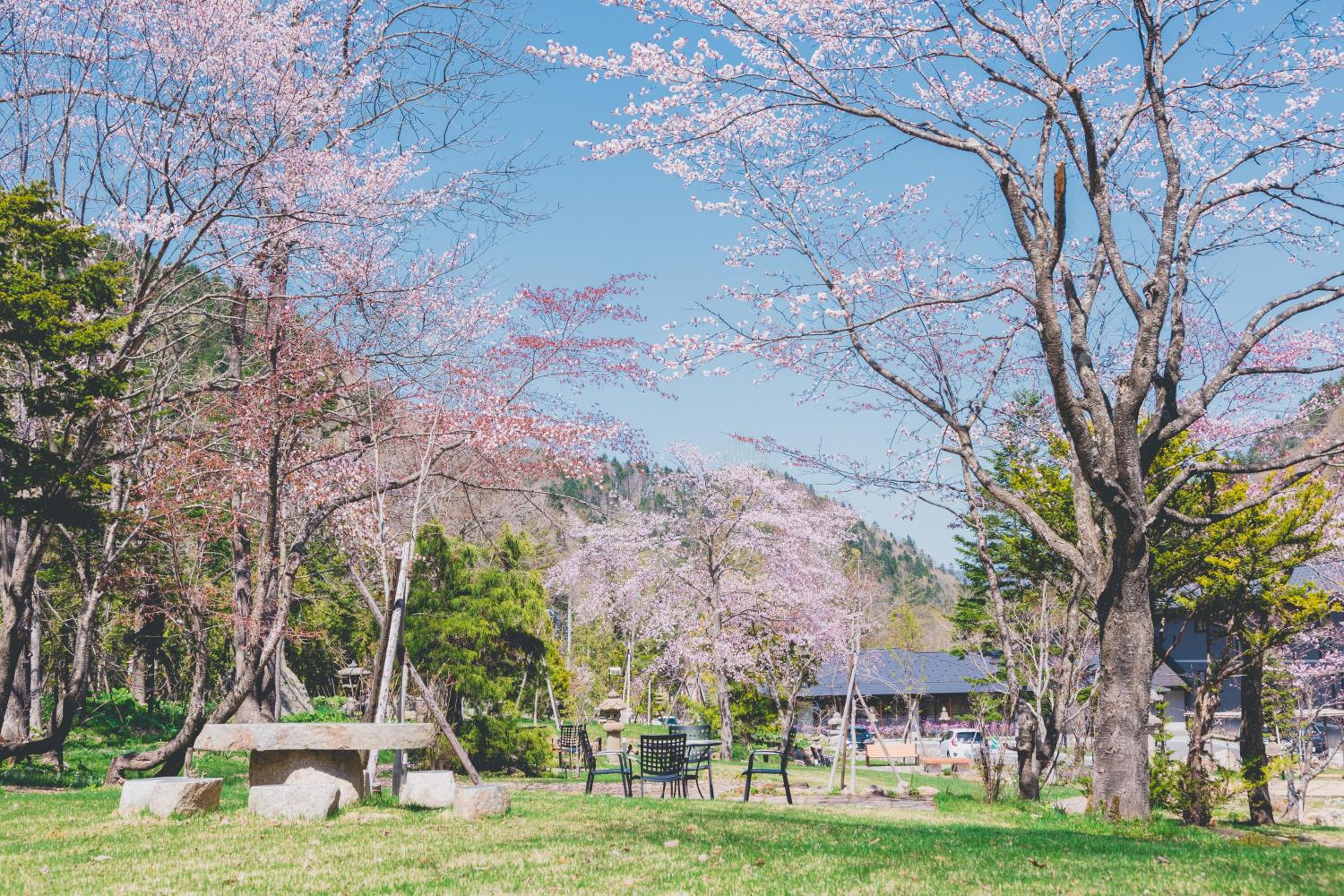 Okujozankei Onsen Kasho Gyoen, Φωτογραφία 63