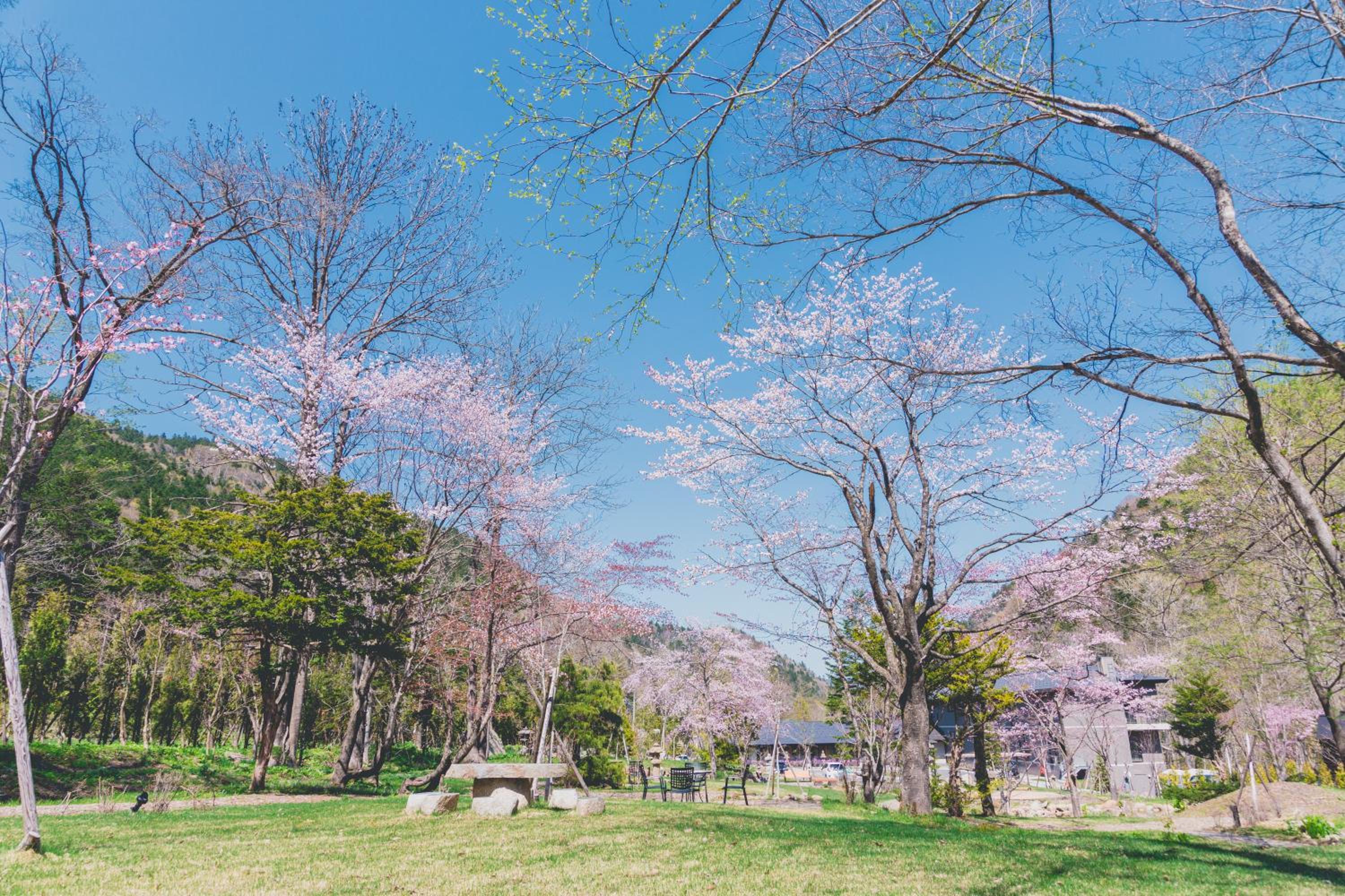 Okujozankei Onsen Kasho Gyoen, Φωτογραφία 20