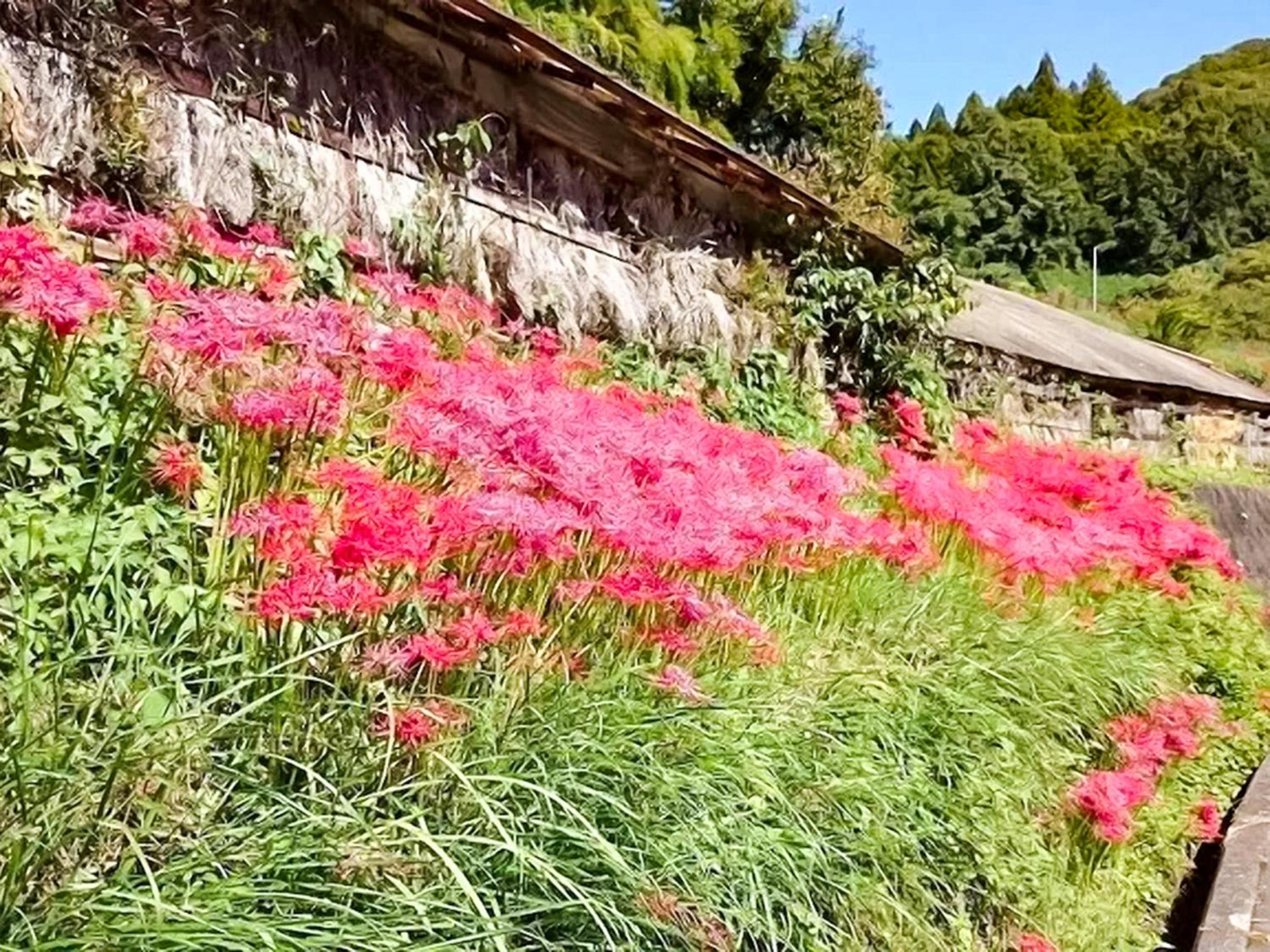 Nara Guesthouse 3F