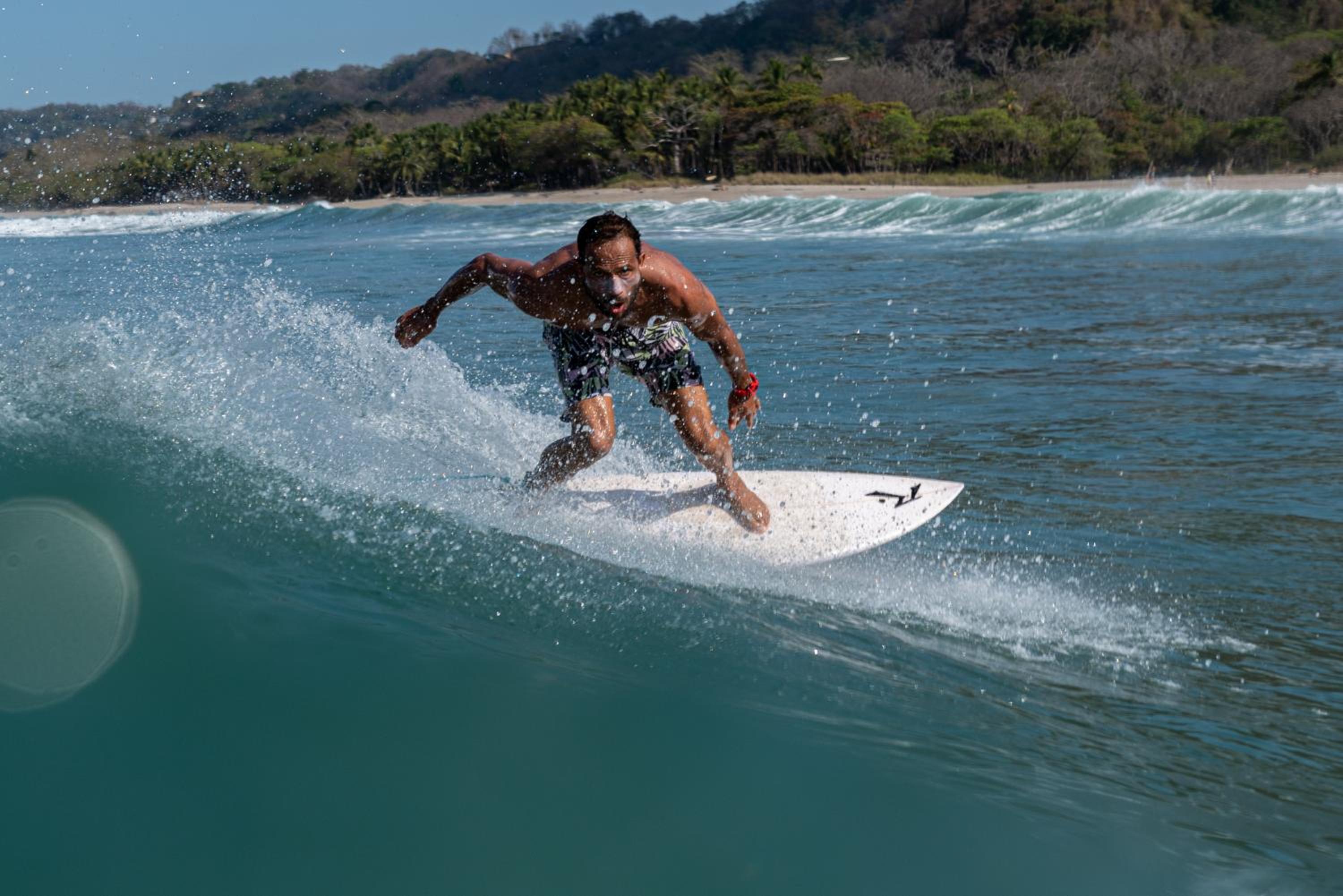 Vista Verde Surf & Studios - jungle View
