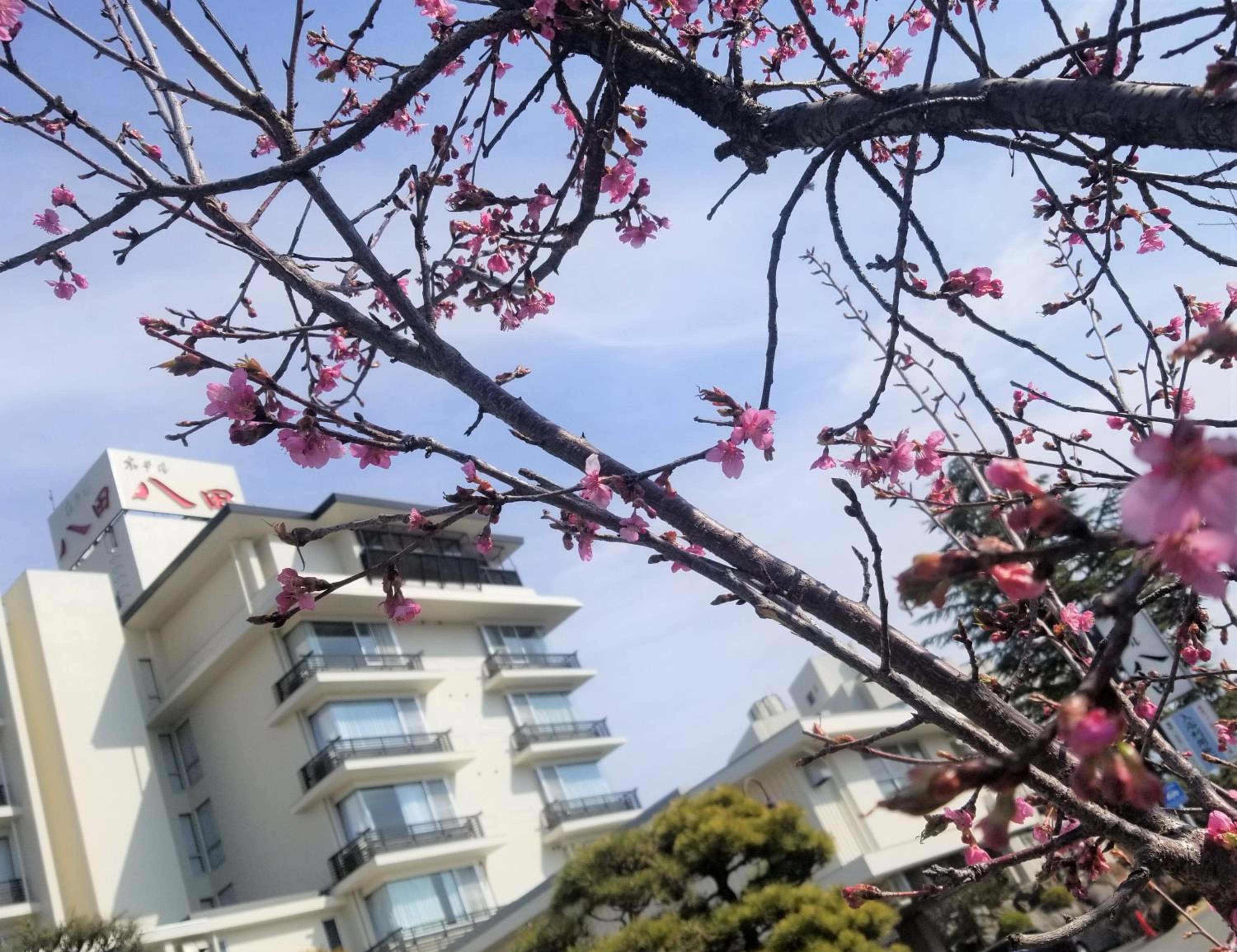 Hotel Hatta