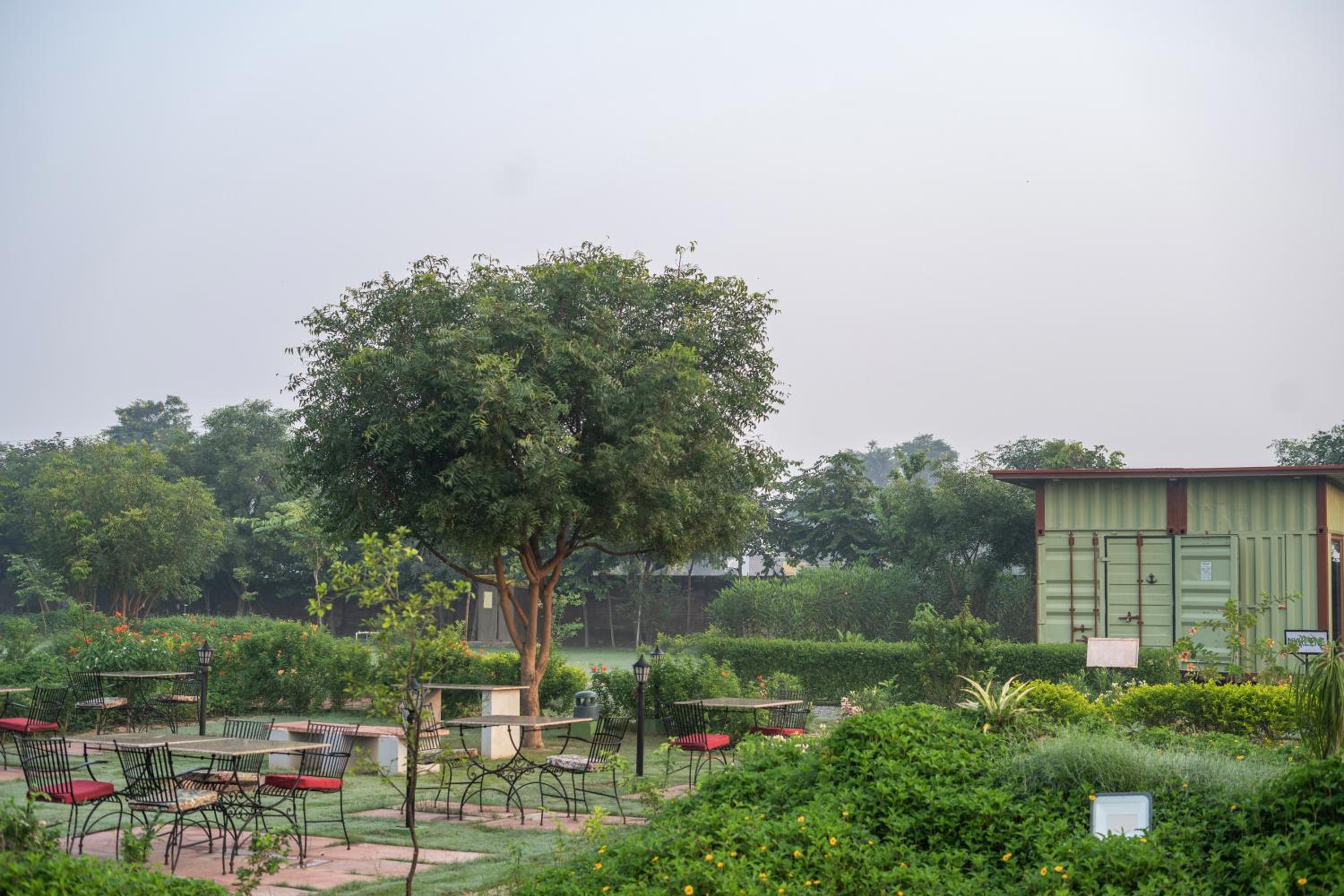 Tree of Life Ecotainers Agra