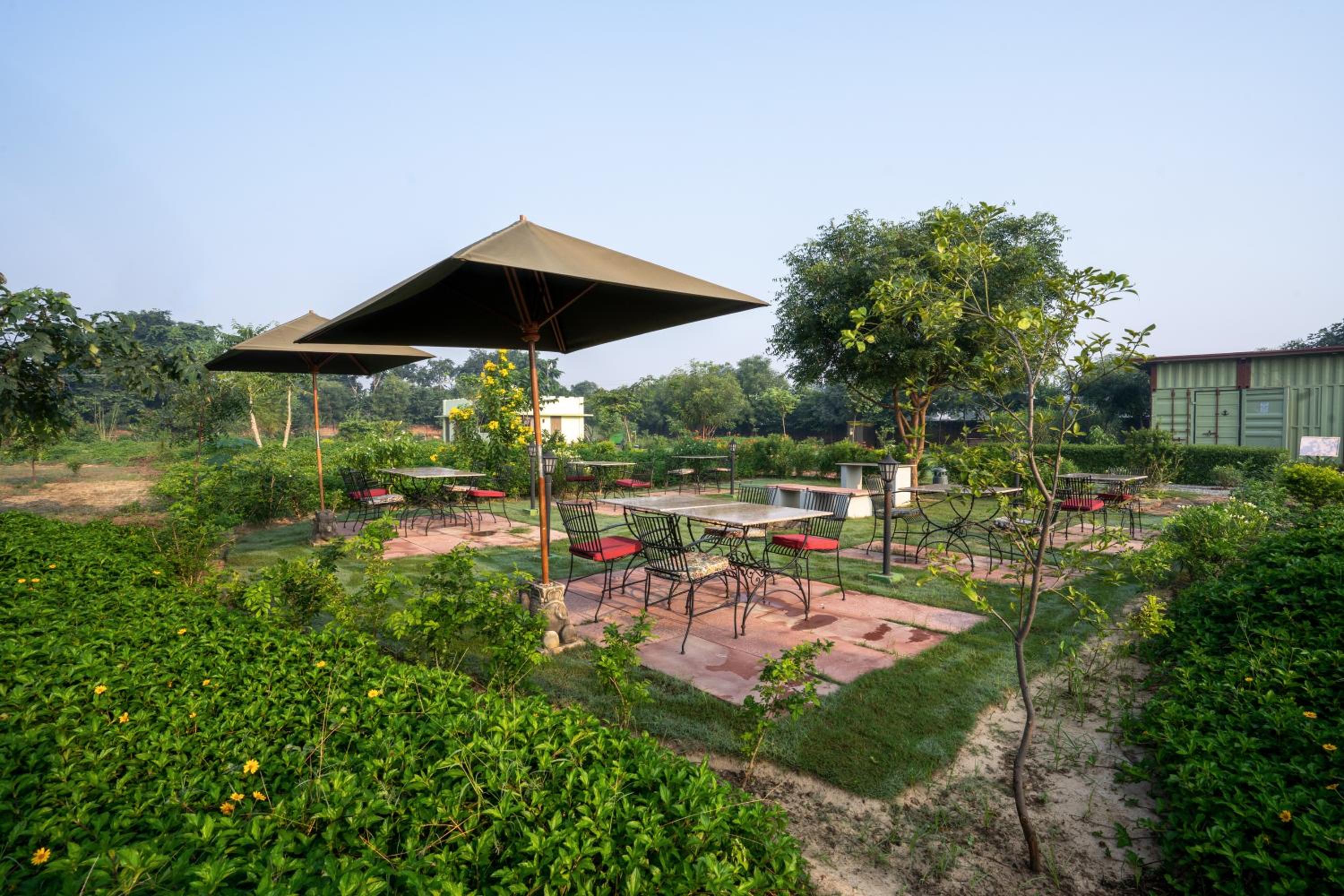 Tree of Life Ecotainers Agra