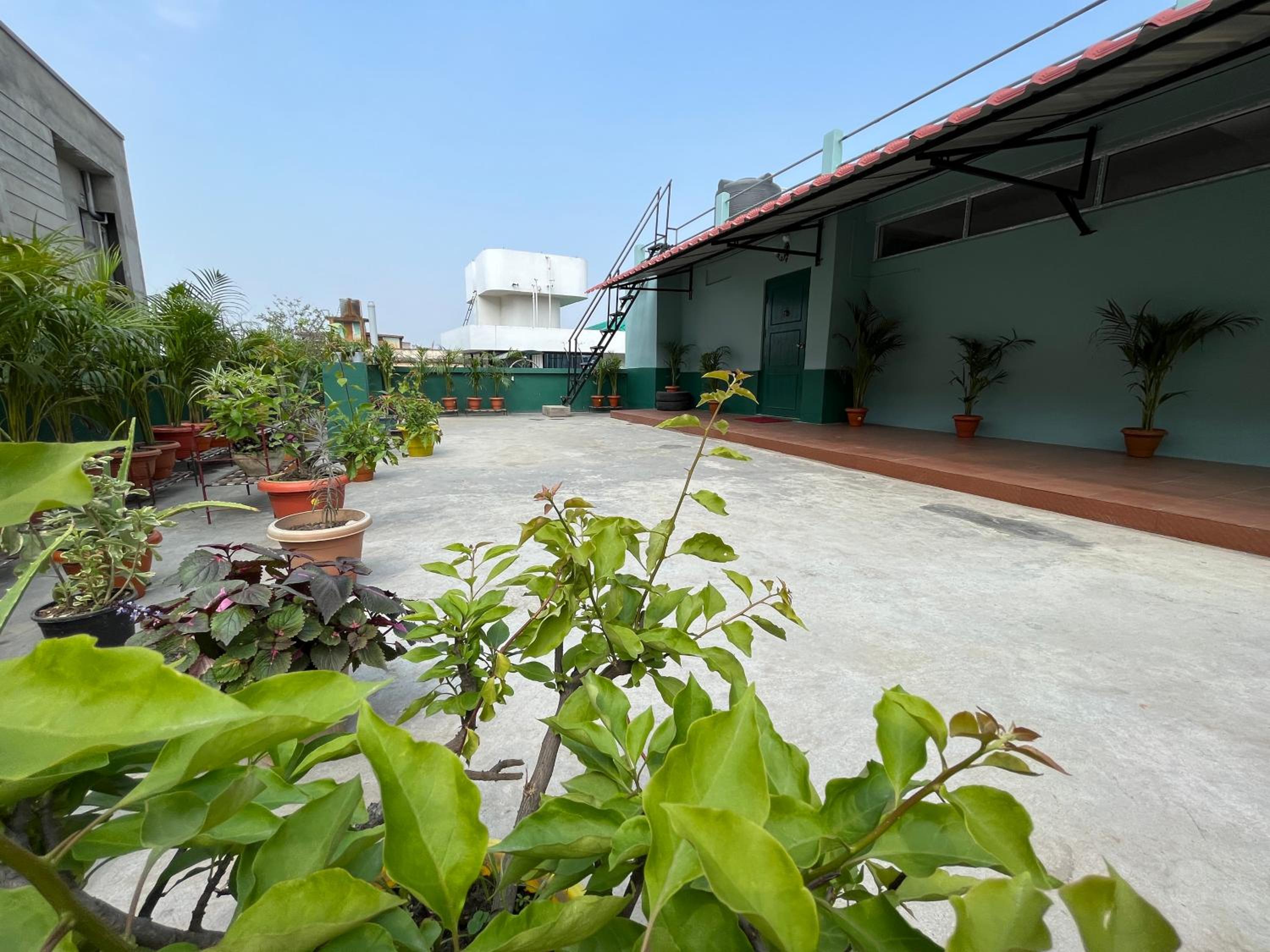 roof
