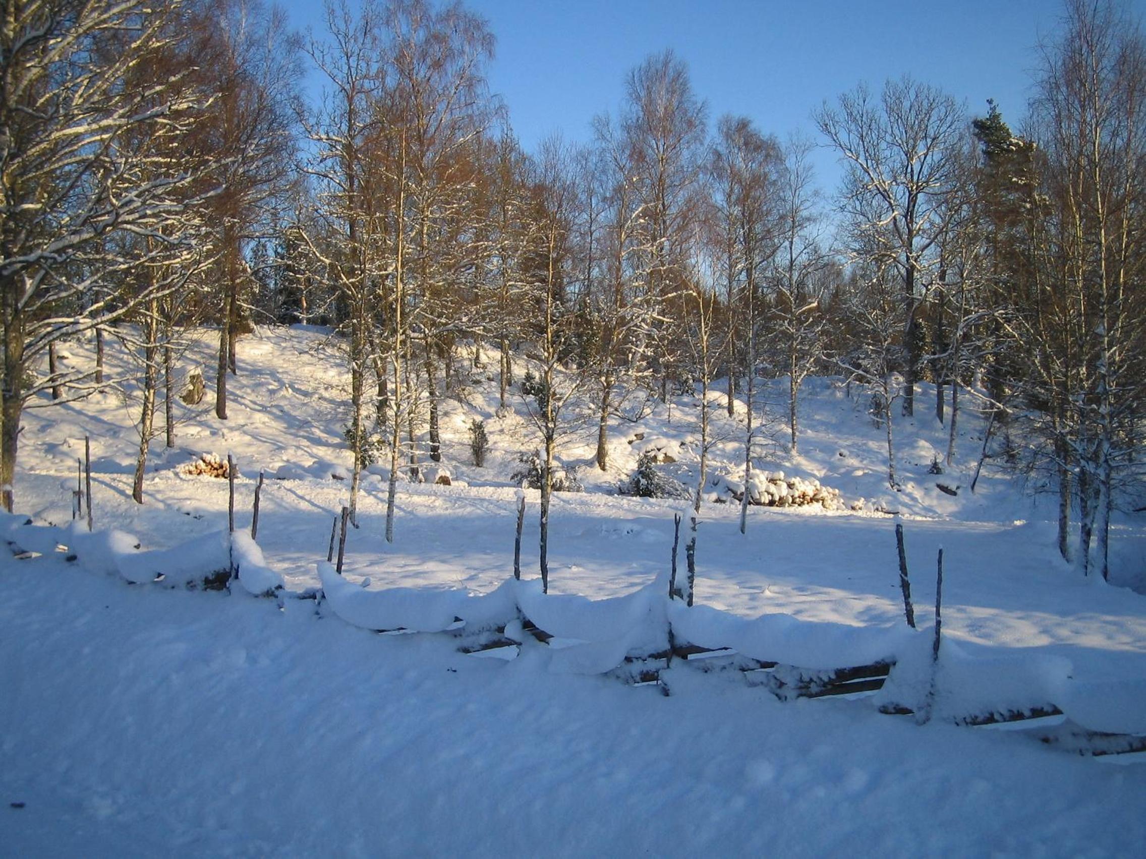 Photo 38