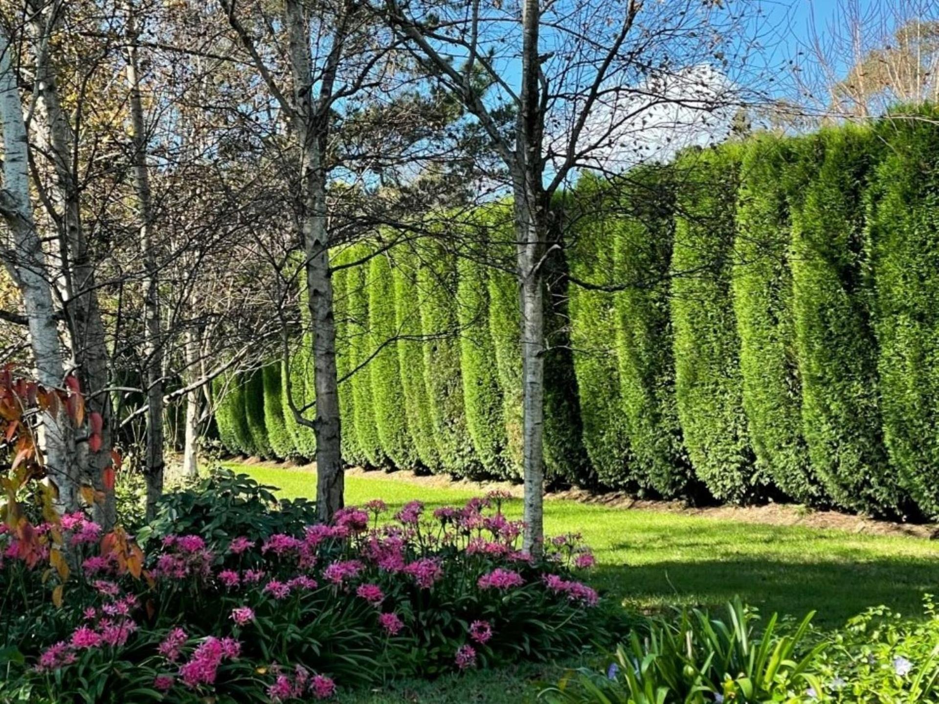 Hollydale Burradoo Southern Highlands