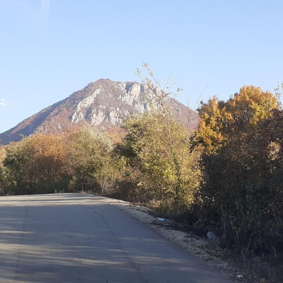 Stefanovića kuća