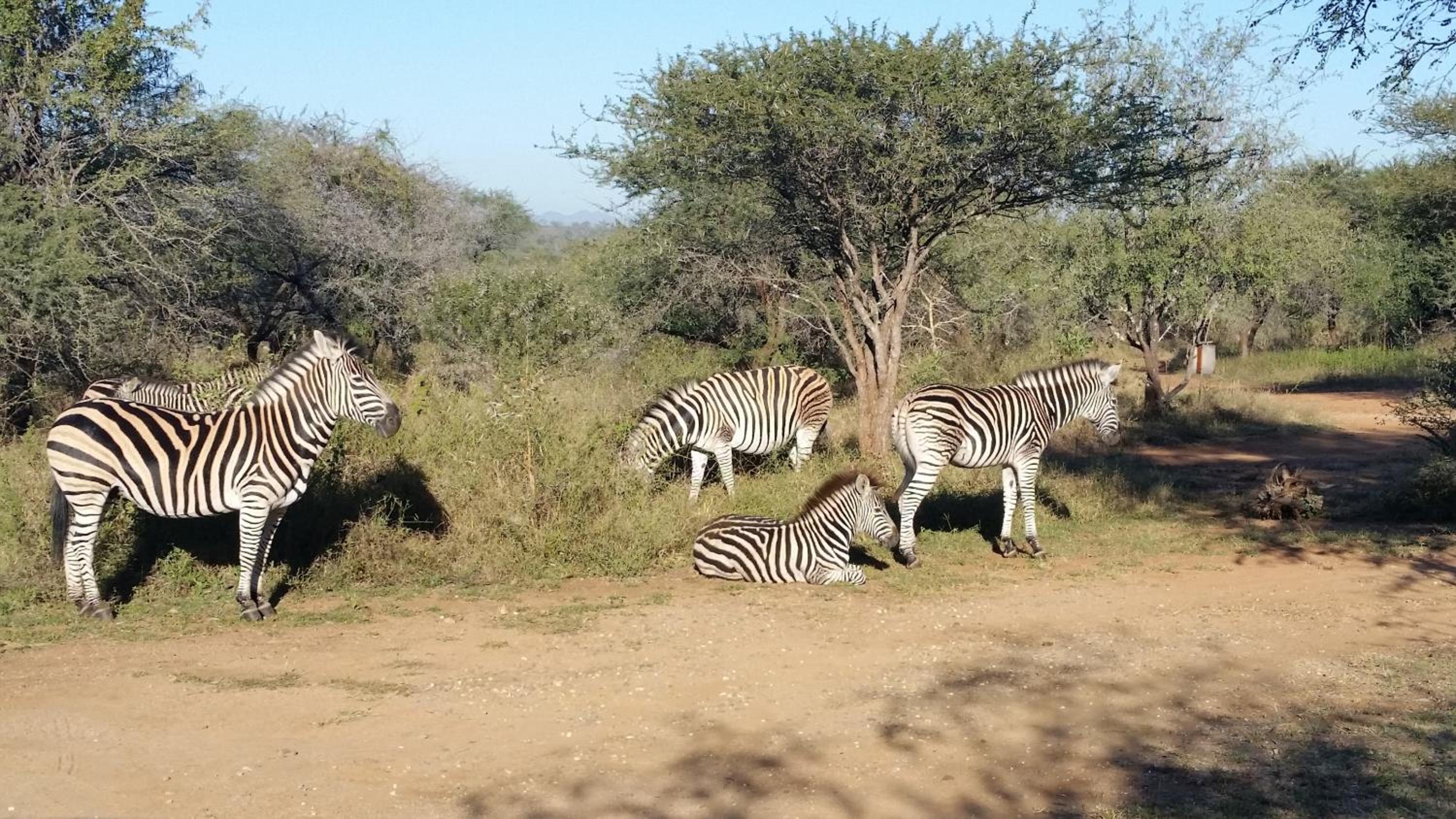 Khumbula iAfrica 1 view 5