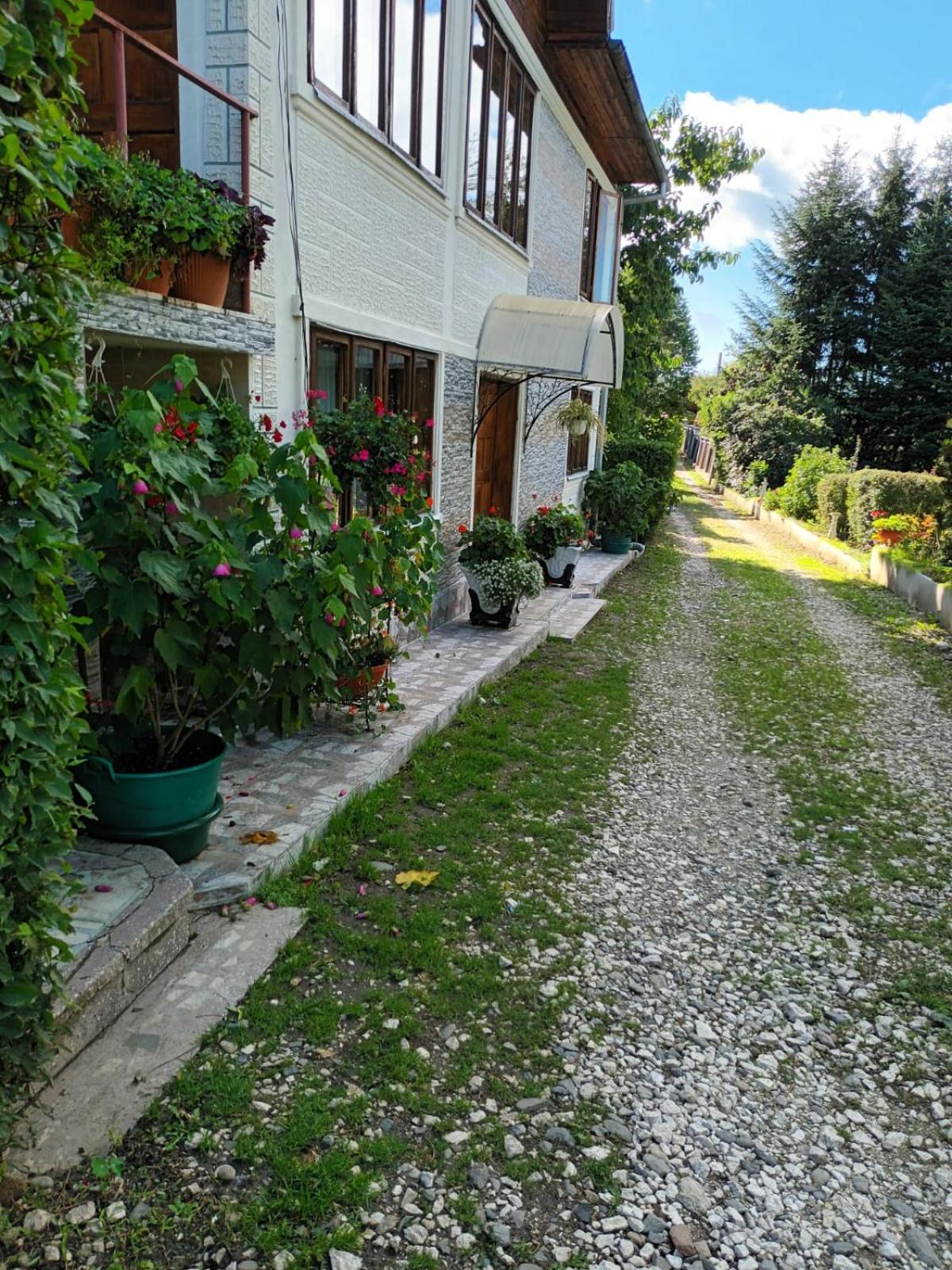 Photo 31