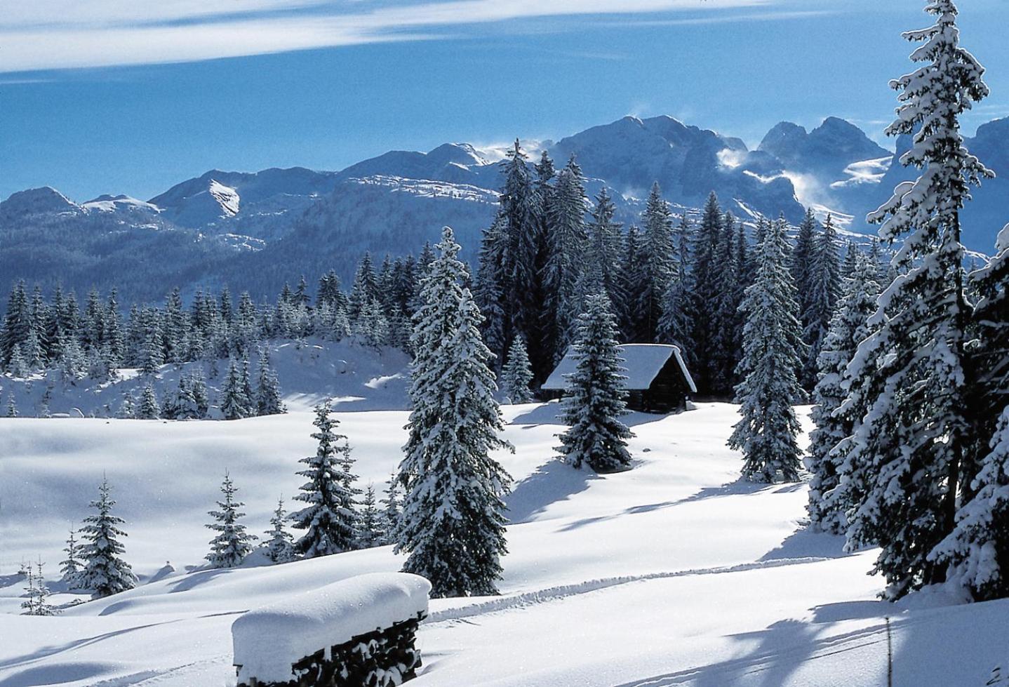 Villa Edelweiss - 3 to 6 Guests - private use of indoor pool, sauna and garden terrace