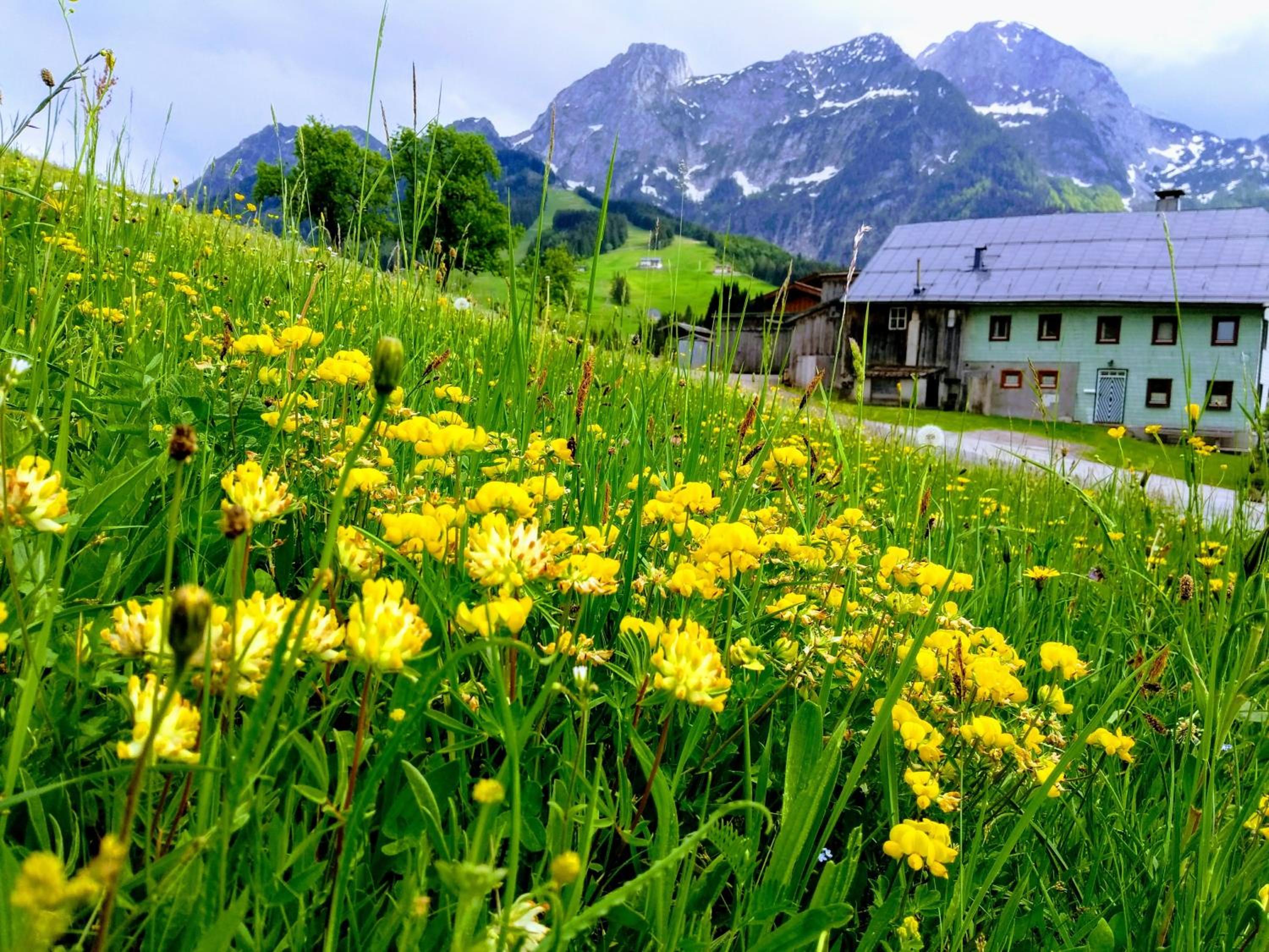Villa Edelweiss - 3 to 6 Guests - private use of indoor pool, sauna and garden terrace