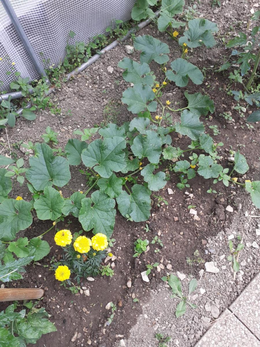 Photo 22