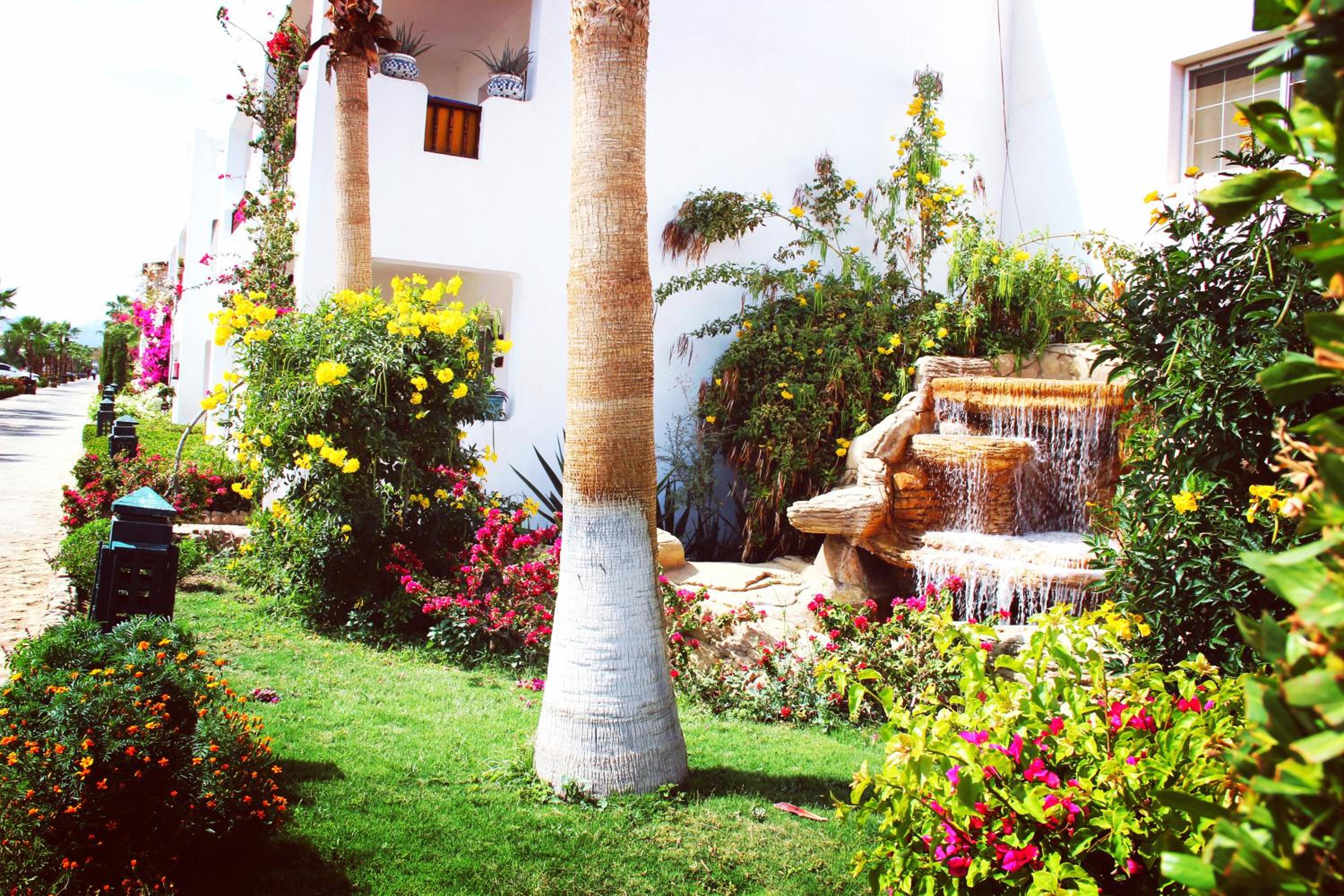 Delta Sharm Best Vacation