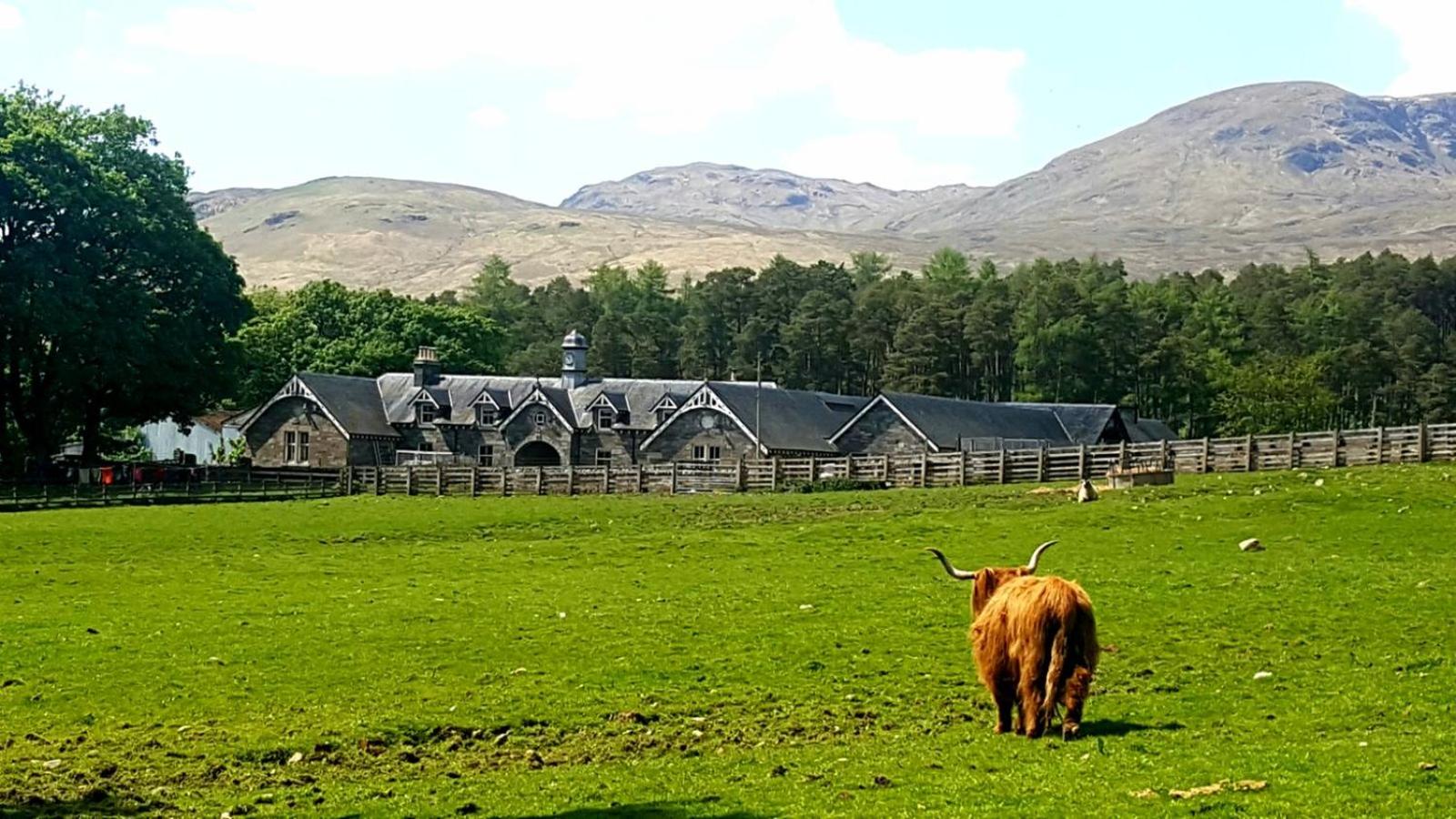 The Bothy, Gallin, Glenlyon, Perthshire view 2