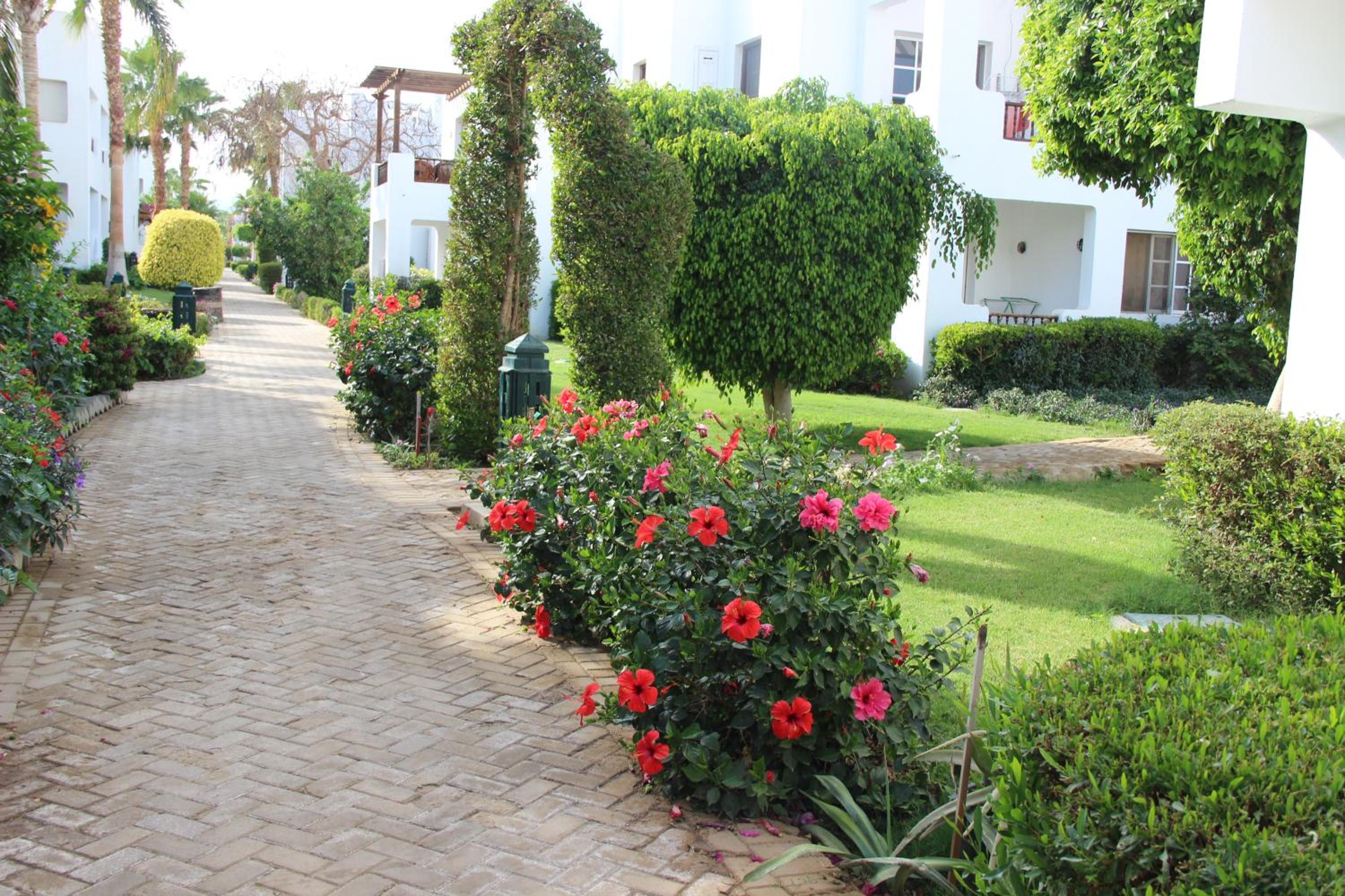 Delta Sharm Best Vacation