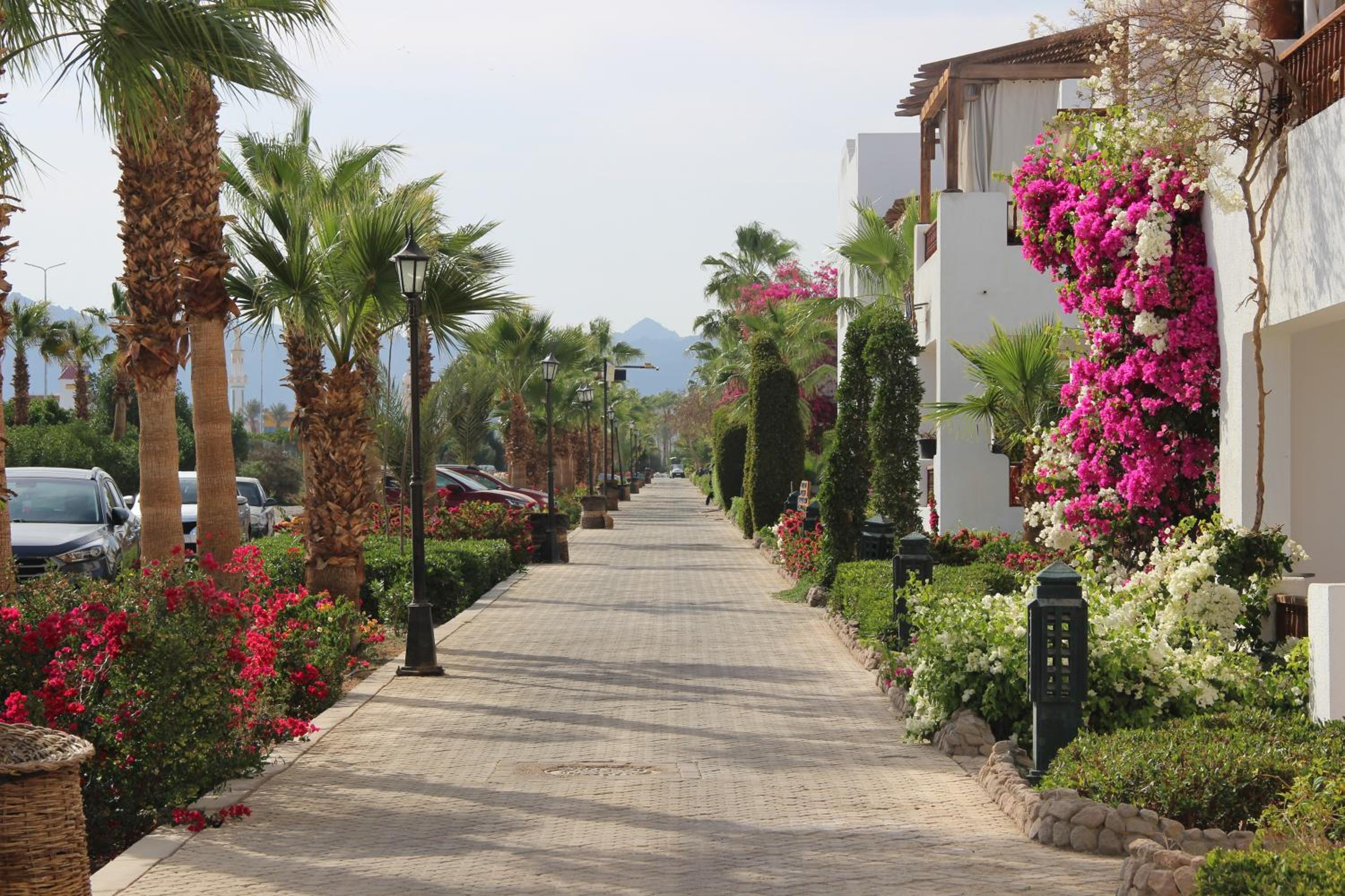 Delta Sharm Best Vacation